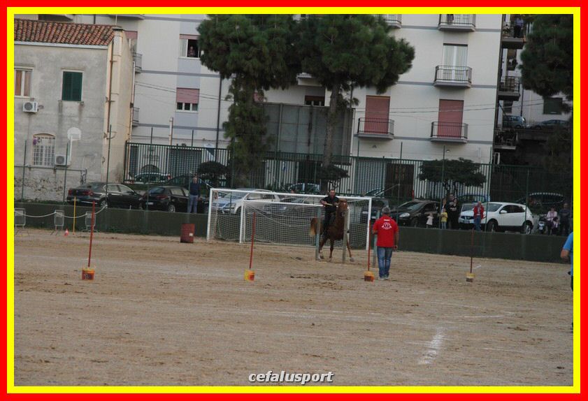161106 equestre 053_tn.jpg